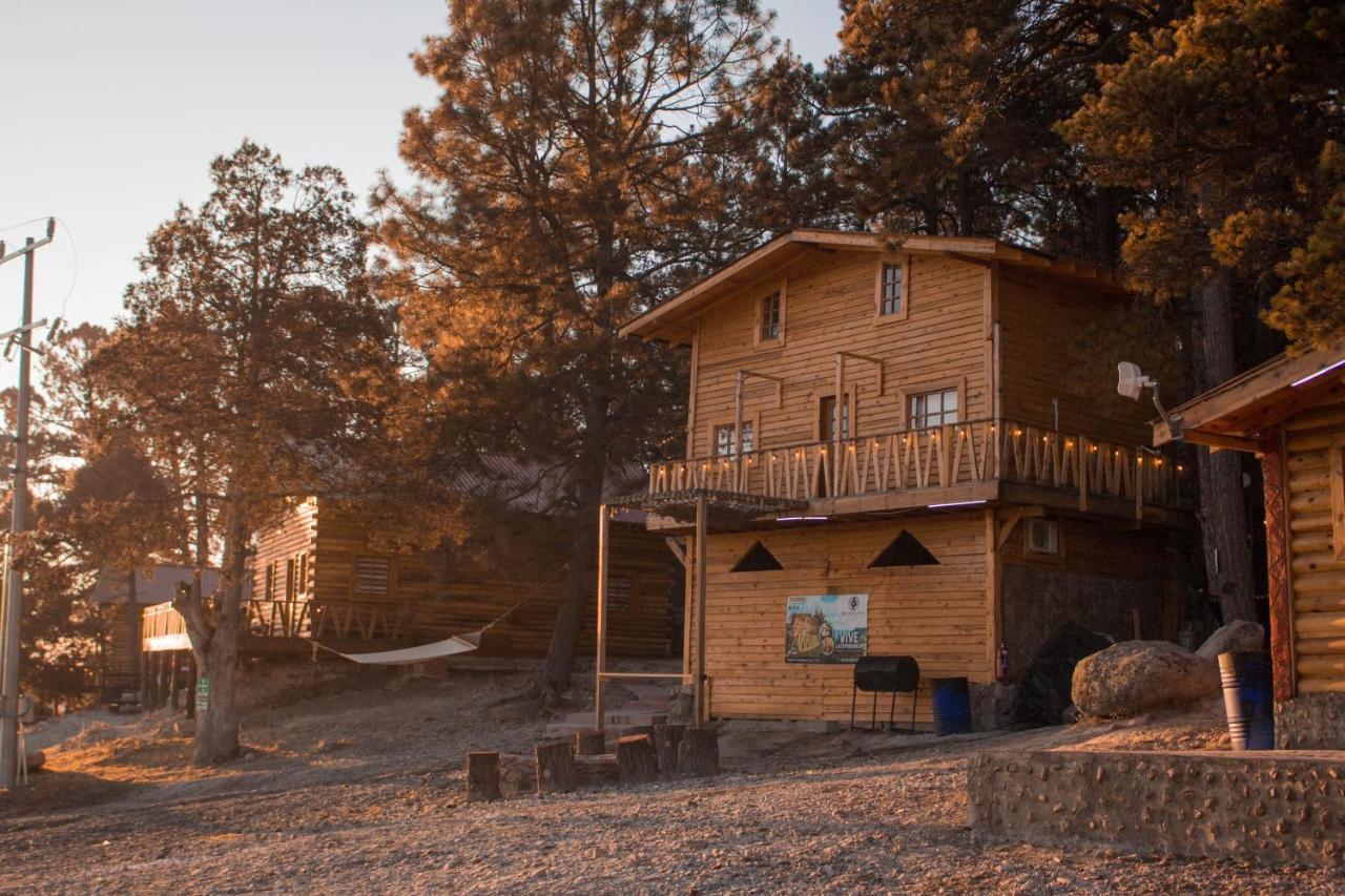 Wooden Inn - Cabanas Boutique Y Bubble Glamping En Creel Dış mekan fotoğraf