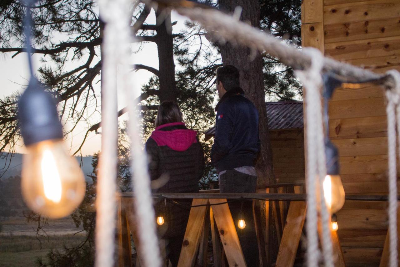 Wooden Inn - Cabanas Boutique Y Bubble Glamping En Creel Dış mekan fotoğraf